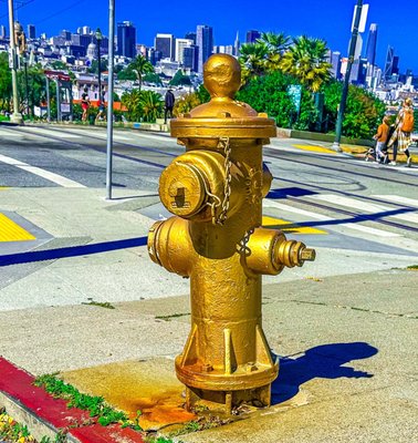 The Golden Fire Hydrant by null