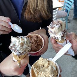 Moose Tracks