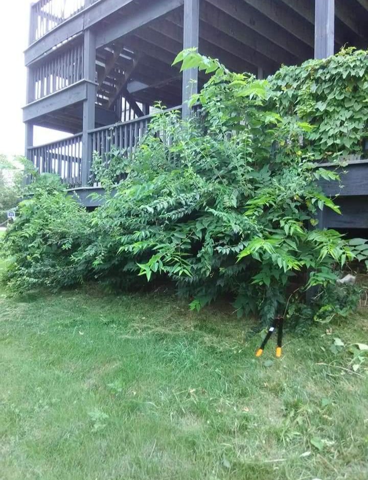 Slide of Richards Home Services