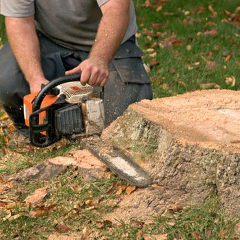 Keilman's Tree Service - Tree Services Near Me - Crown Point, Indiana Keilman's Tree Service - Tree Services Near Me - Crown Point, Indiana