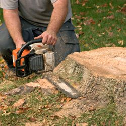 Keilman's Tree Service