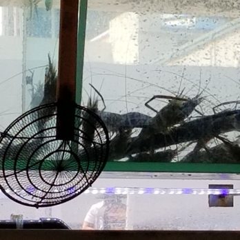 Ginger & Garlic - Live prawns - Dim Sum Near Me - Honolulu, Hawaii