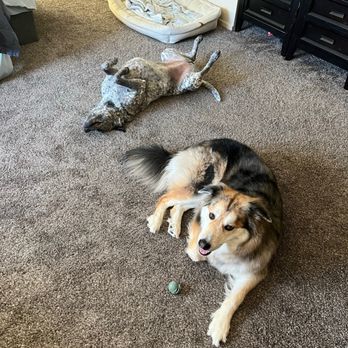 TENDER LOVING CARE PET SALON - Updated January 2025 - 12 Photos 
