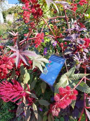 Botanical Garden by null