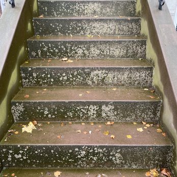 NYC Power Wash - Algae on the stoop before the wash - Pressure Washers Near Me - Brooklyn, New York