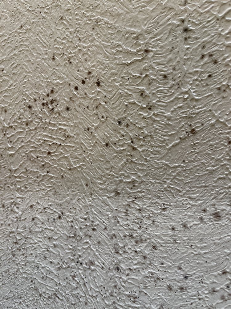 Franco ITC LLC - mold inspector in Round Rock, TX