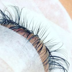 Wink Lashes - Your second layer lashes