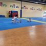 Photo of White Tiger Tae Kwon Do
