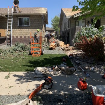 Scarlett Oaks Tree Care - Successfully dropped with no damage - Tree Services Near Me