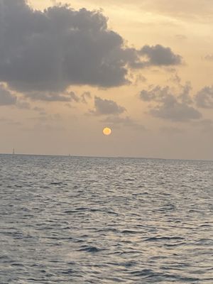 Danger Charters by null