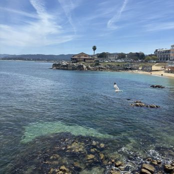 The Fish Hopper - Seafood Near Me - Monterey, California