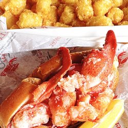 Cousins Maine Lobster - Portland, ME - Maine lobster roll with tots.
