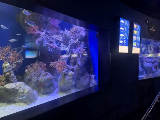 L’Aquàrium de Barcelona by null
