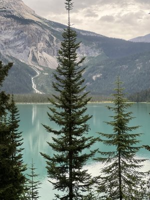 Mount Burgess Dining Room at Emerald Lake Lodge by null