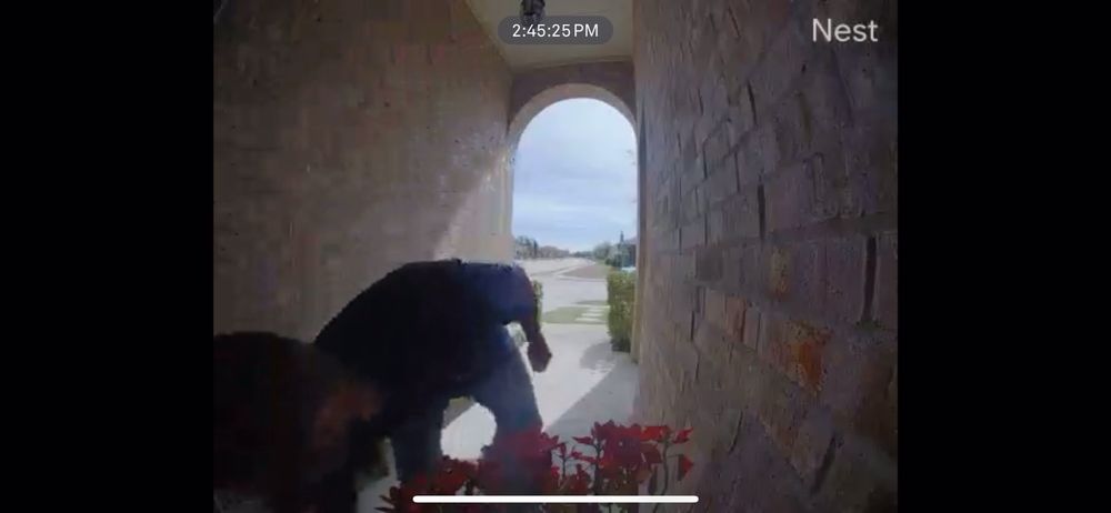 Slide of Quick Roofing