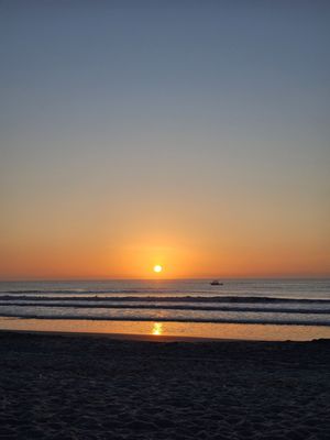 Lori Wilson Park by null