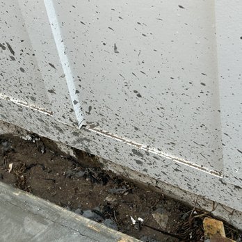 Capital Concrete and Mansonry - Masonry/Concrete Near Me