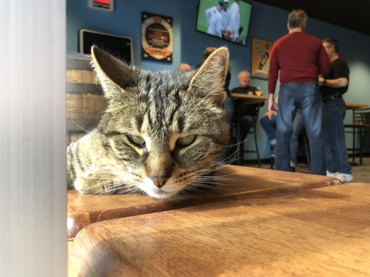 2SP Brewing Company by null