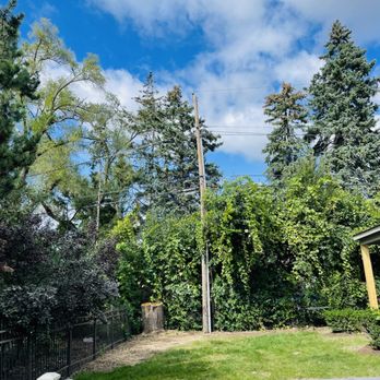 Bladimir Tree Service - Tree Services Near Me Bladimir Tree Service - Tree Services Near Me
