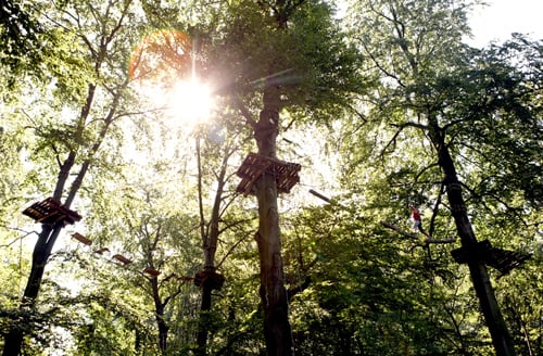 Waldhochseilgarten Jungfernheide by null