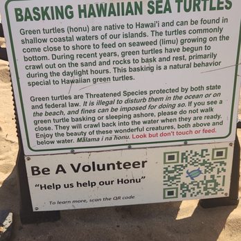 Poipu Beach - Beaches Near Me - Koloa, Hawaii