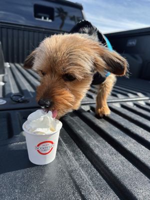 Scooter's Coffee by null