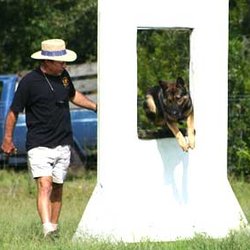 Euro Pros K-9 Center - At Euro Pros' high-activity boarding is not an option, it's standard!
