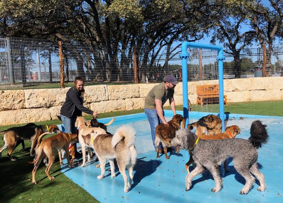 lucy's doggy daycare prices