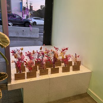 Body Dada - Barre Classes Near Me - Los Angeles, California