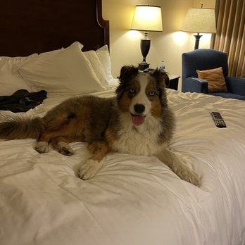Morris Inn - Hotels Near Me - Notre Dame, Indiana