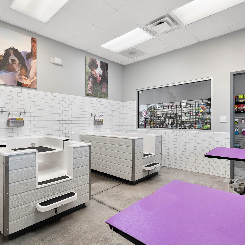 Petco Self-Serve Dog Wash Stations Petco | atelier-yuwa.ciao.jp