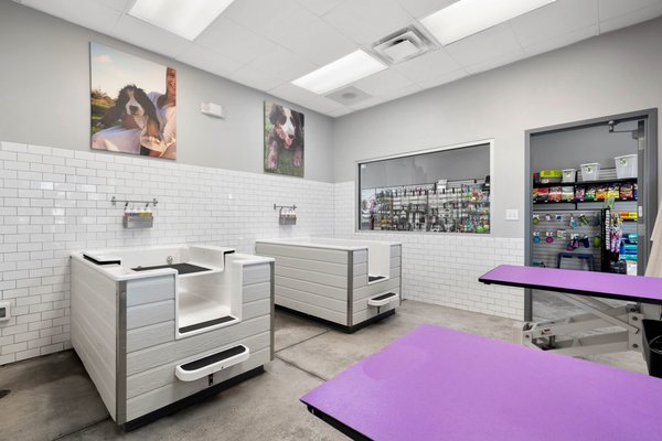 Tezzy Boo TAZZY & BOO PET FOODS & GROOMING - Updated August 2024 - 50 Photos & 38 ...