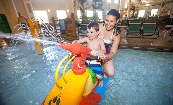 Great Wolf Lodge | Grapevine by null