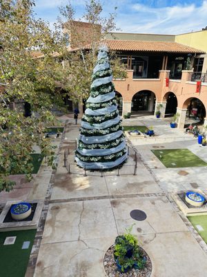 La Encantada by null