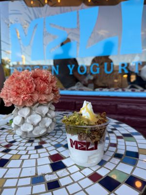 MELI Frozen Yogurt by null