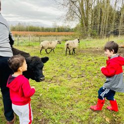 Bode Farms Rescue & Sanctuary - Reservation needed