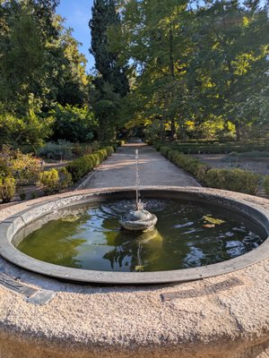 Real Jardín Botánico by null