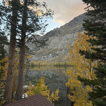 June Lake Loop - The view from our deck on Silver Lake October  10th, 2026. The leaves had turned yellow around the whole area. - Local Flavor Near Me