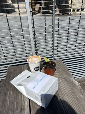 Linea Coffee Roasting + Caffe by null