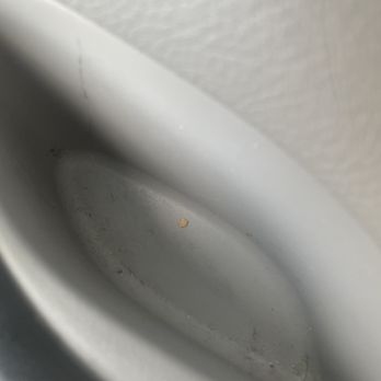 Frederick Auto Spa - Rt 40 - Even in cup holders dirt and crumbs how awesome is that huh (find better jobs ur employees suck) - Car Wash Near Me - Frederick, Maryland