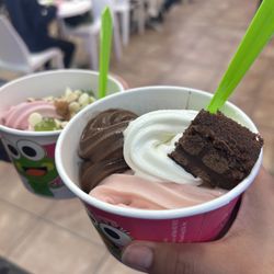 sweetFrog Premium Frozen Yogurt
