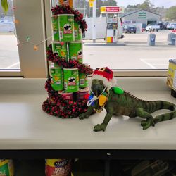 Swift Mart