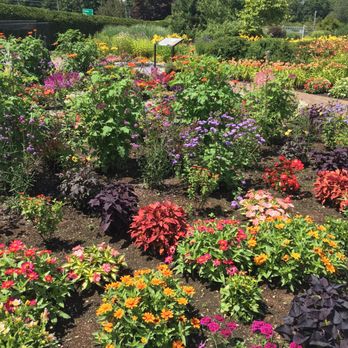 Pineland Farms - Cheese Shops Near Me - New Gloucester, Maine