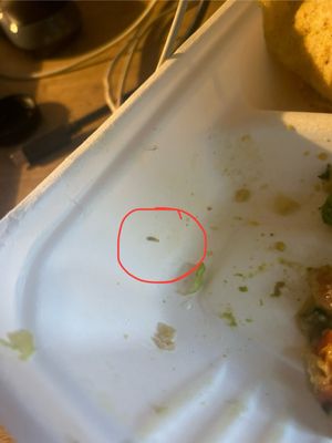 Spring Cafe Aspen by null