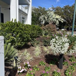 HARRY P LEU GARDENS - Updated November 2025 - 2319 Photos & 365