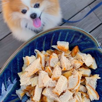 Bann at Oak Knoll Napa - Chef can grill an unseasoned chicken breast ($10) for furry guest(s). - Bed & Breakfast Near Me - Napa, California Bann at Oak Knoll Napa - Chef can grill an unseasoned chicken breast ($10) for furry guest(s). - Bed & Breakfast Near Me - Napa, California