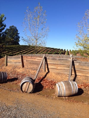 BobDog Wines by null