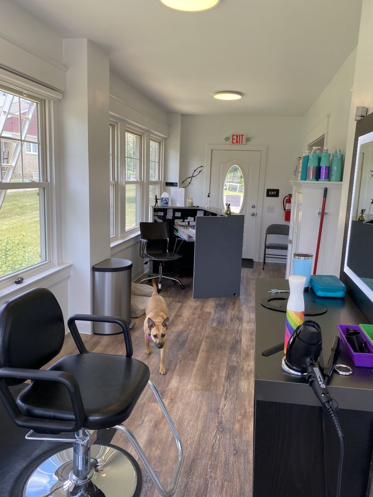 Hair Innovations Logo