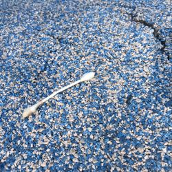 Hunt Park - Cotton buds at children's playground