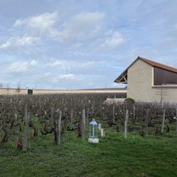 Champagne Billecart Salmon - Clo plot